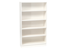 Shallow Bookcase